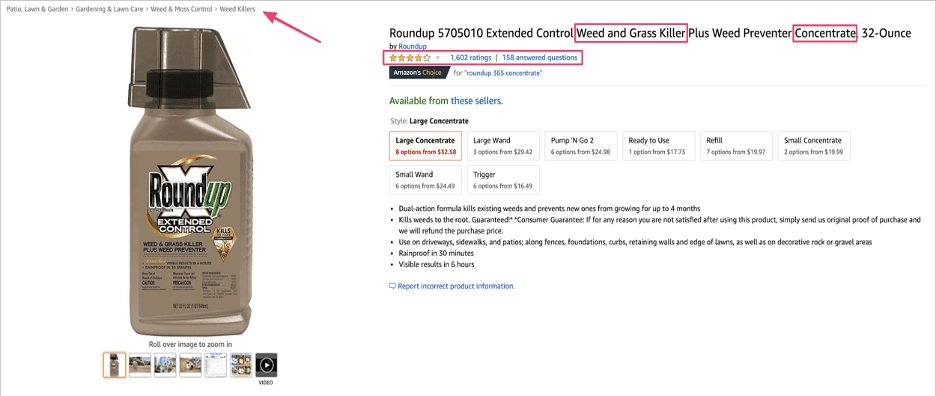 SEOglaze-amazon-affiliate-case-study-8