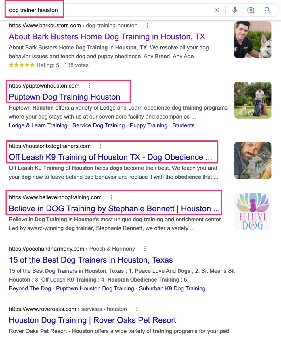 SEO For Dog Trainer