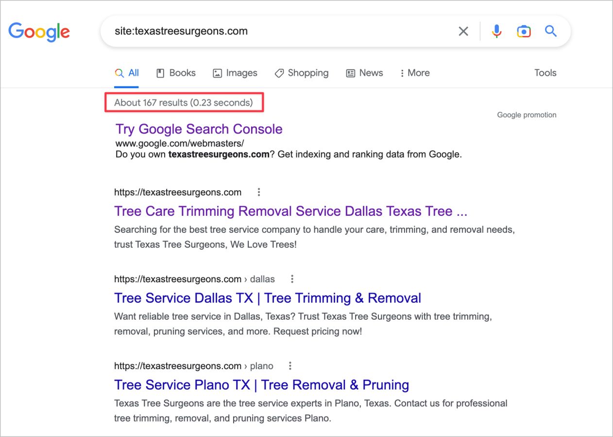 Competitor domain age 2